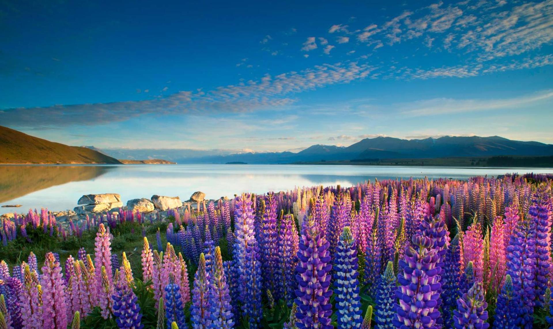 Tekapo1929 Lakefront Villa Lake Tekapo Exterior foto