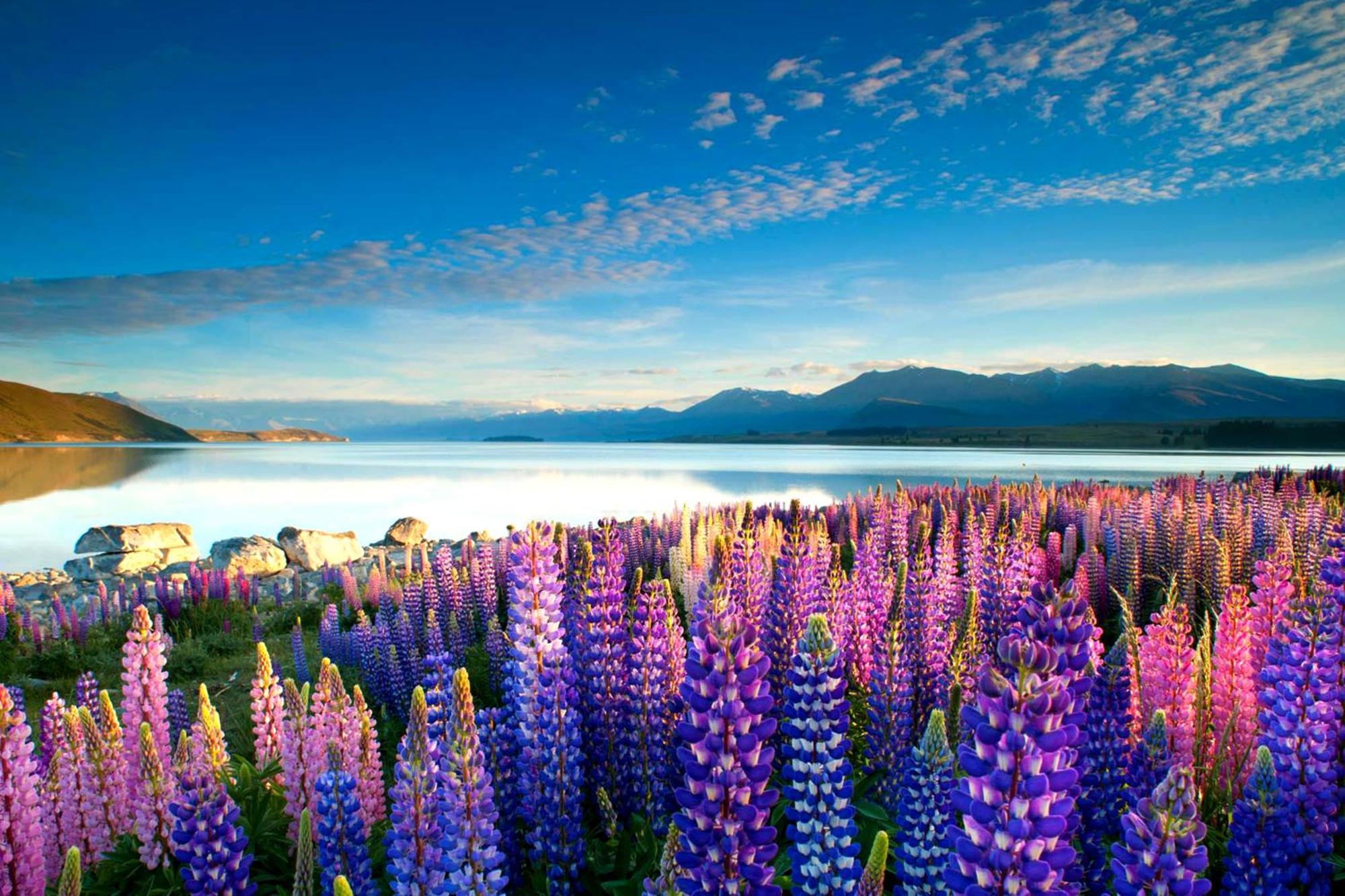 Tekapo1929 Lakefront Villa Lake Tekapo Exterior foto
